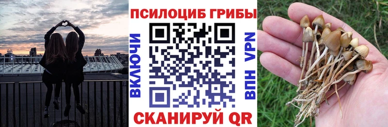 Галлюциногенные грибы GOLDEN TEACHER  Благовещенск 