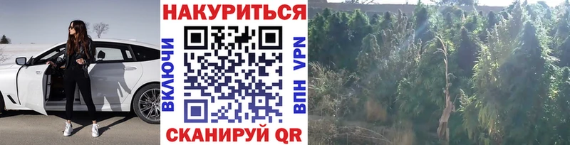 Шишки марихуана Bruce Banner Благовещенск