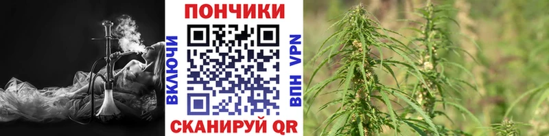 Шишки марихуана план  купить наркоту  Благовещенск 